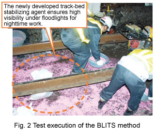 Fig. 2 Test execution of the BLITS method