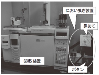 図２　GCMS装置とにおい嗅ぎ装置