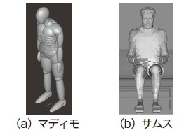 図２　人体モデル