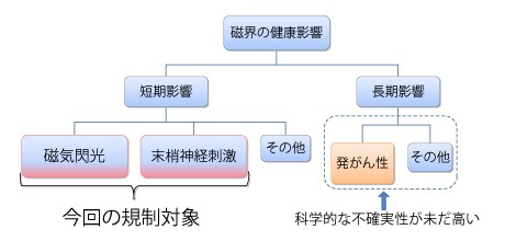 図1 磁界の健康影響と今回の規制対象