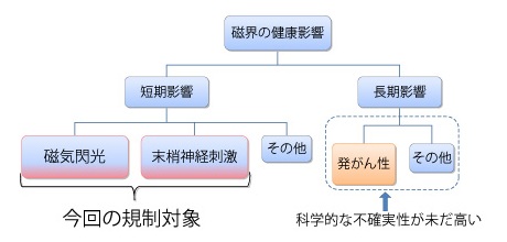 図１　磁界の健康影響と今回の規制対象