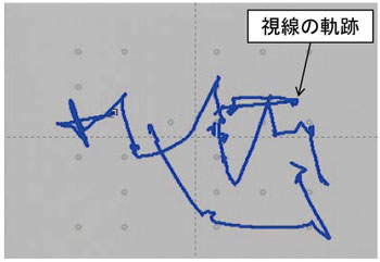 図１　アイカメラの記録画像