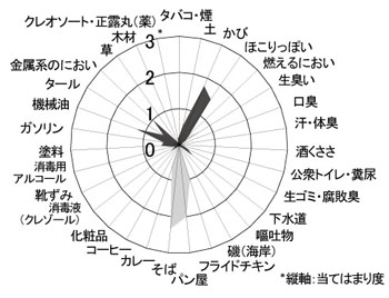 図２　レーダーチャートの例（黒：A駅地下ホーム、灰色：B駅地上ホーム）