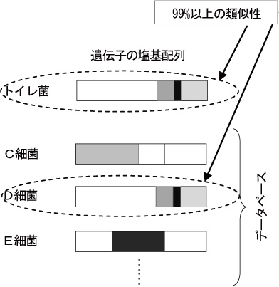 図1 遺伝子から細菌種を特定するイメージ図