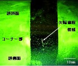 図３　　磁粉探傷試験における欠陥磁粉模様（従来条件による試験体）