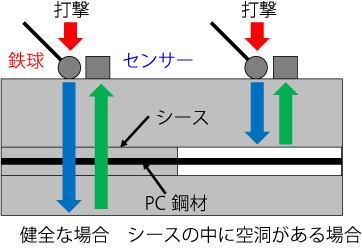 図3　インパクトエコー法の概要