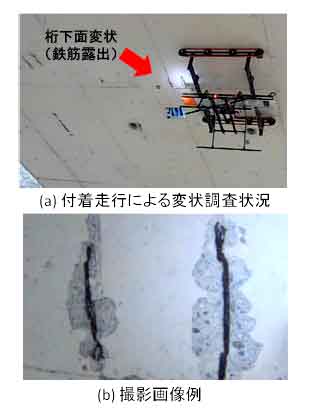 図９　桁下面の外観変状調査