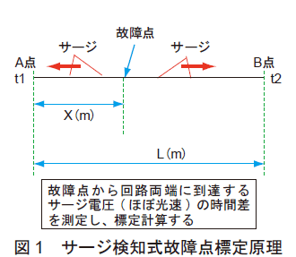 }1@T[Wm̏_W茴